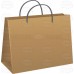 Paper Bag / Brown Paper Bag (Large)
